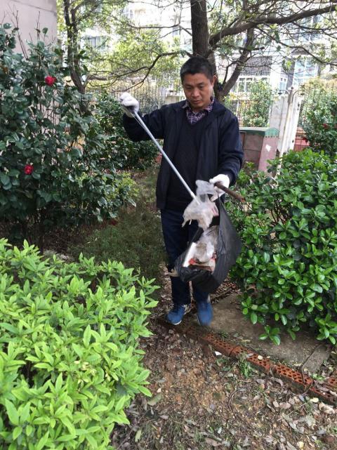 控制鼠害、預(yù)防疾病，構(gòu)建和諧文明社區(qū)